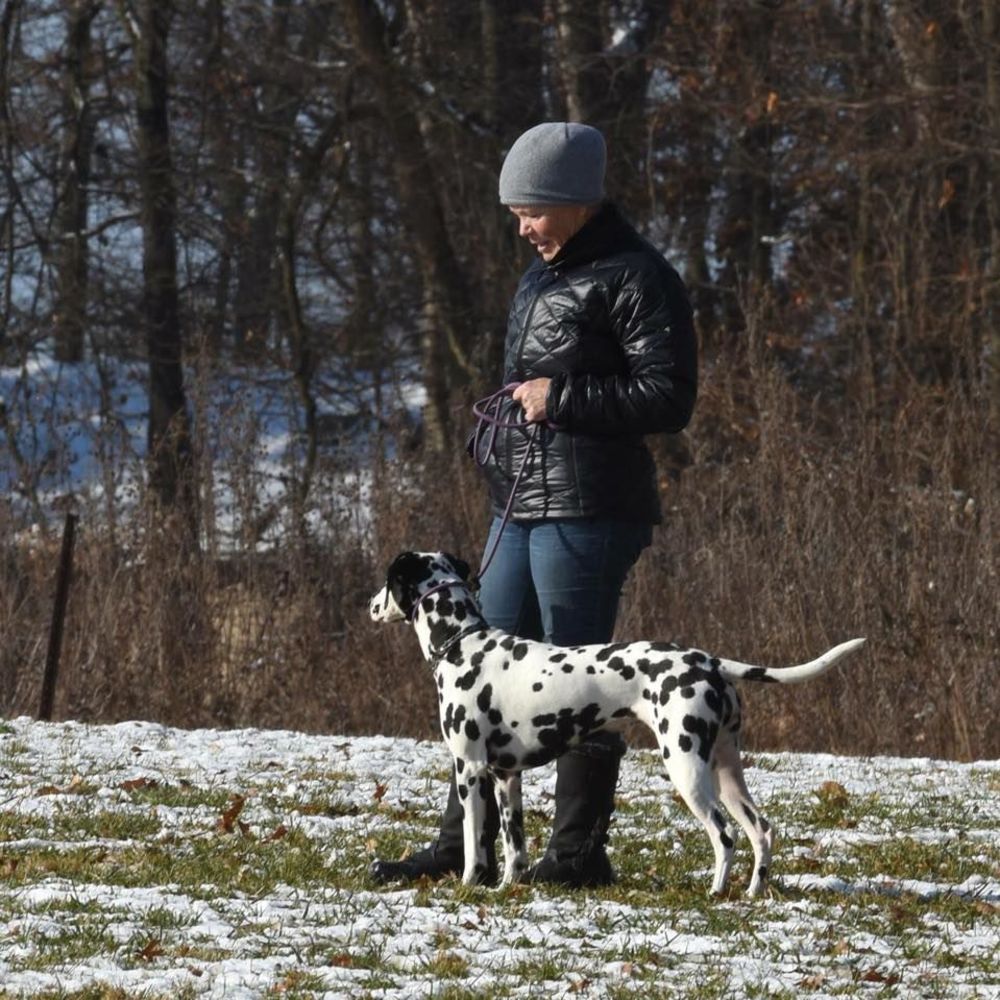 Meet your Posher, Laurie